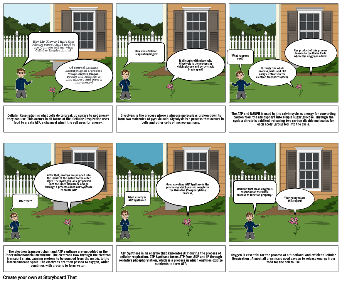 the story of photosynthesis Storyboard by rayanramcharan