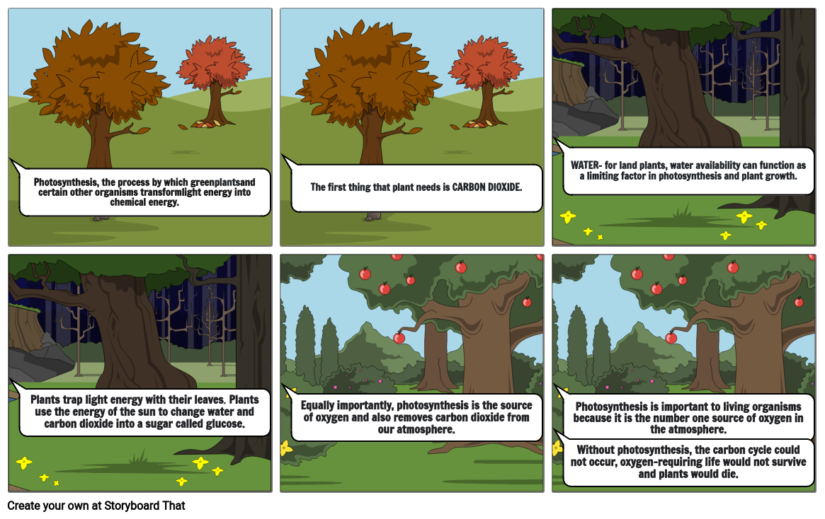 photosynthesis-storyboard-by-richelyn53230