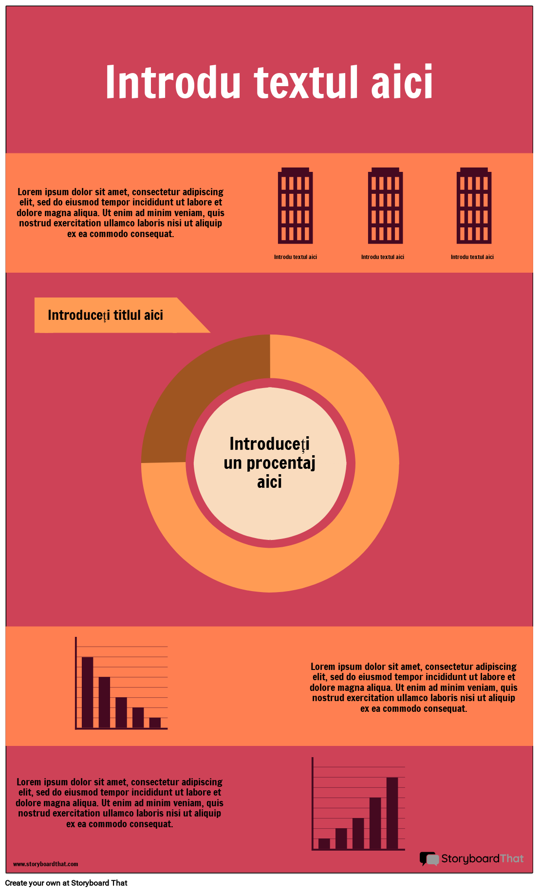 Informații de Raportare 1