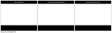 Punctul de Vedere Activitate Șablon