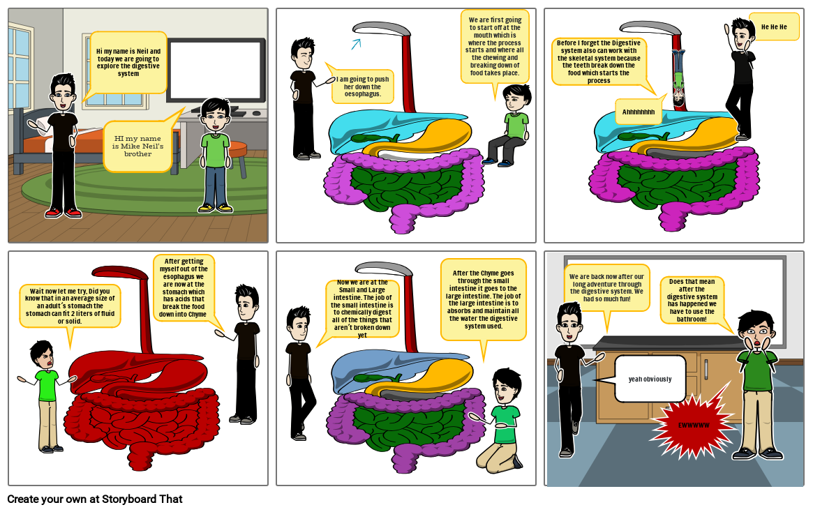 Digestive System Storyboard By Romina36856