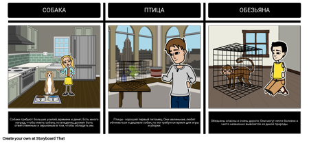 Хорошее Домашнее Животное, Плохое Домашнее Животное - Сравнить / Контраст