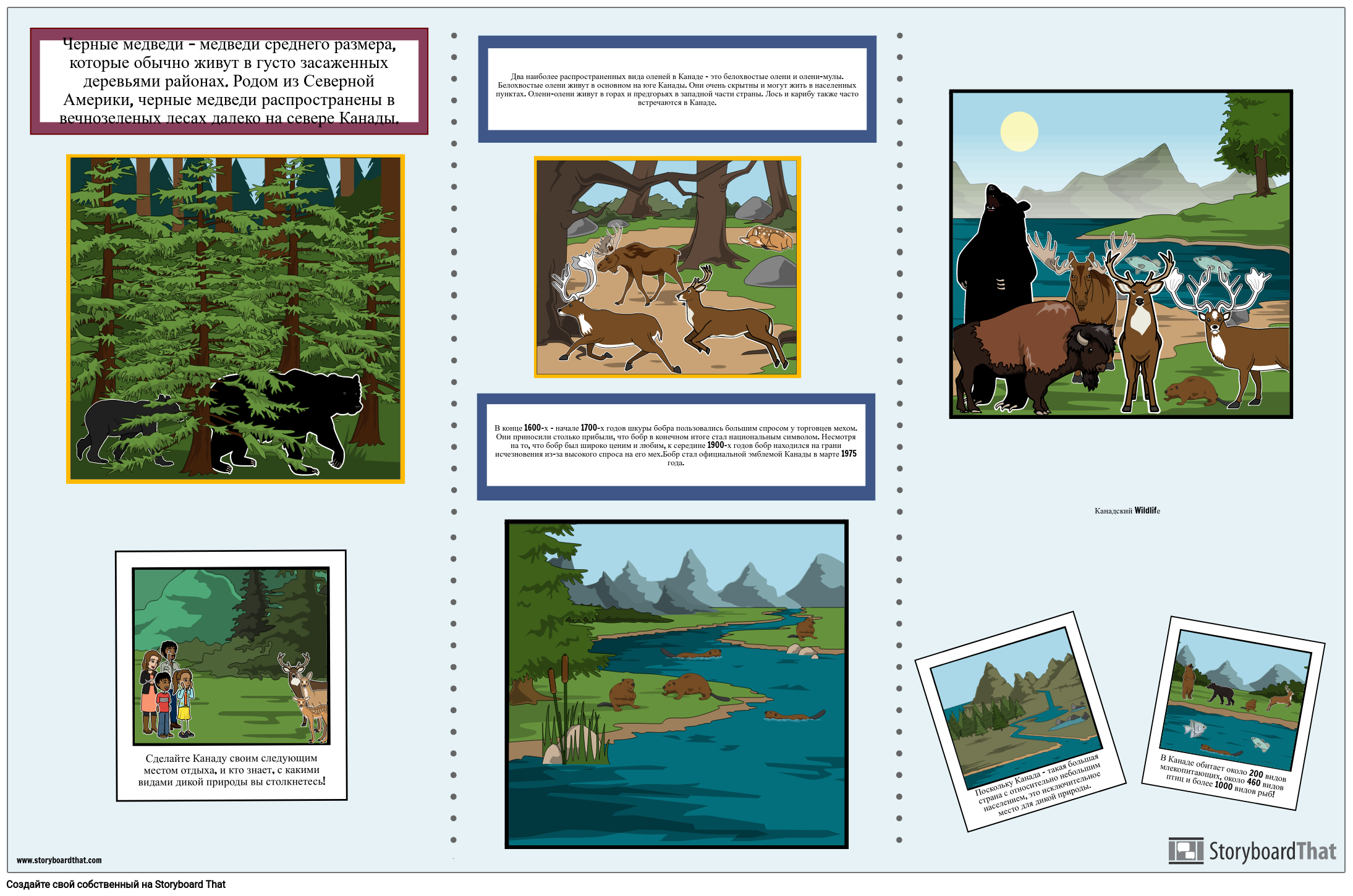 Природа и Дикая Природа Канады Storyboard od ru-examples