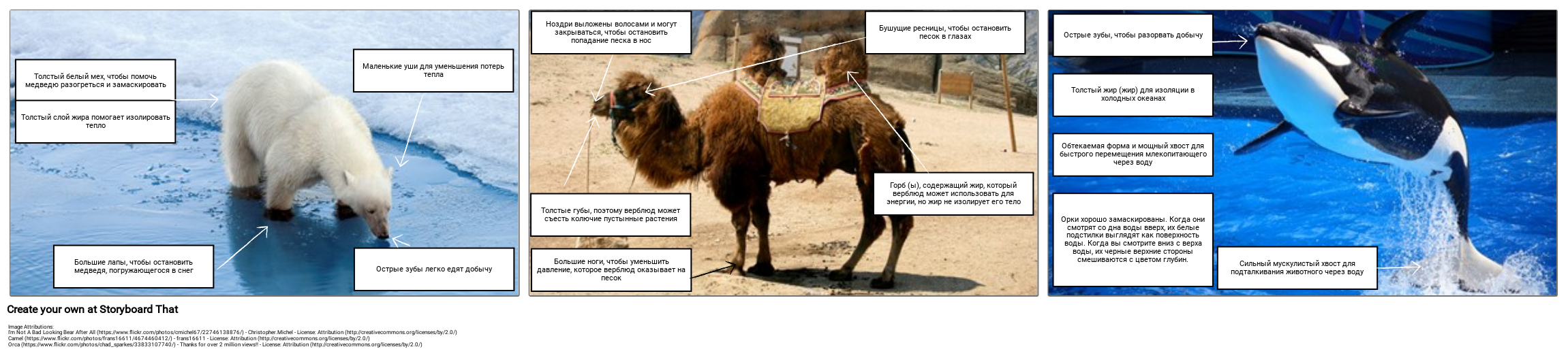 Адаптация к Этикетке Животных Раскадровка по ru-examples