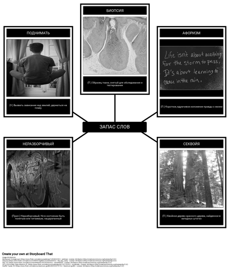 Словарь по вторникам с Морри