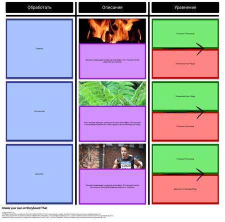 Процессы в Углеродном Цикле