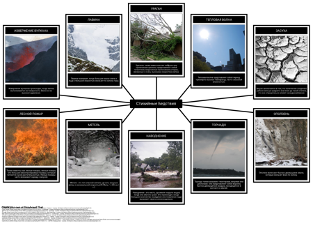 Примеры Стихийных Бедствий