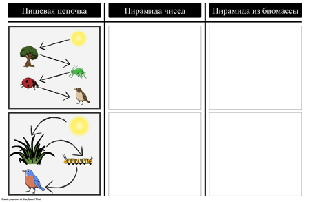 Пирамида Чисел и Биомассы