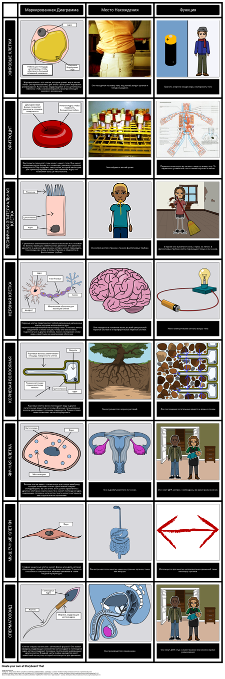 Специализированные Ячейки