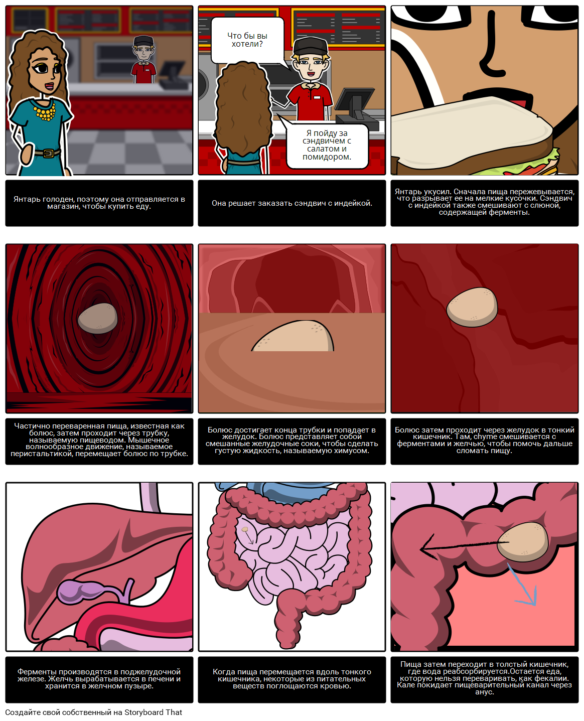 Пищеварительный Рассказ Storyboard por ru-examples