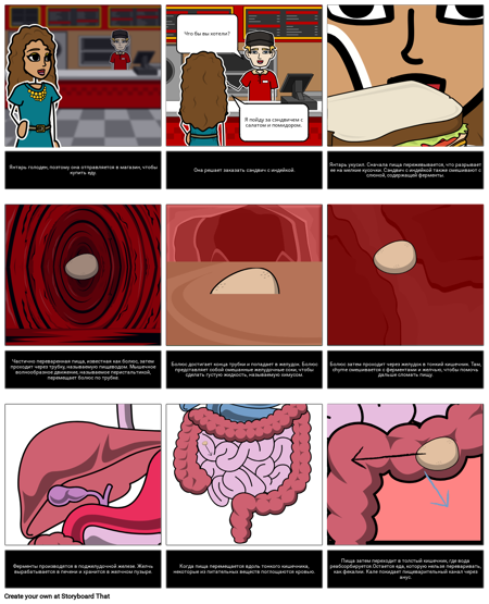 Пищеварительный Рассказ