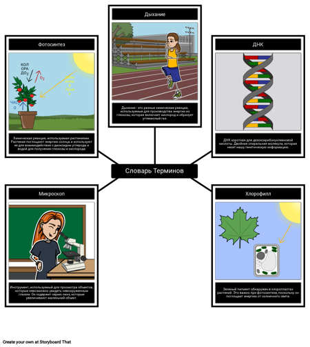 Словарь Терминов