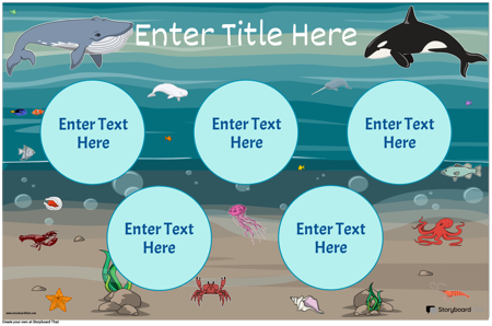 Правила Класса 18