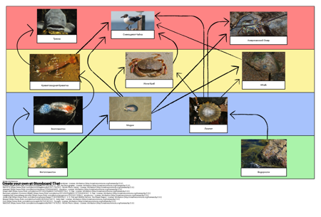 Пищевые Полотна