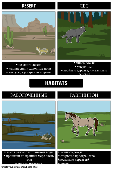Frayer Model - Habitats