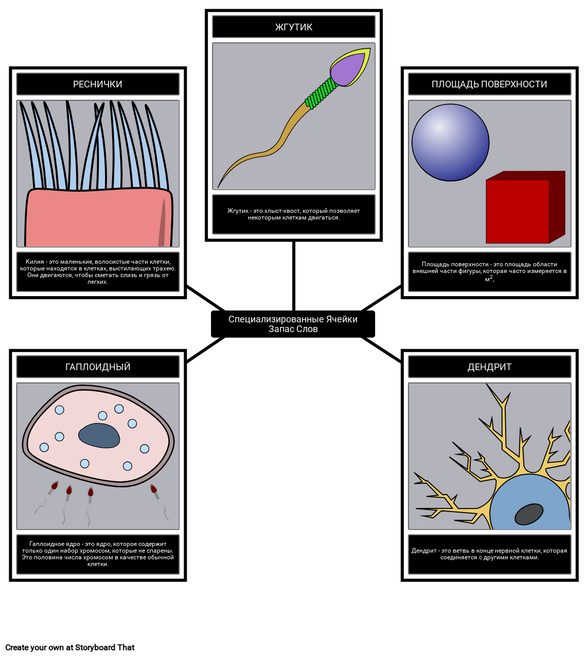 Specialized Cells Словарь Пример Storyboard Tarafından ru-examples