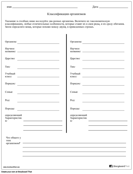 Таксономический ранг