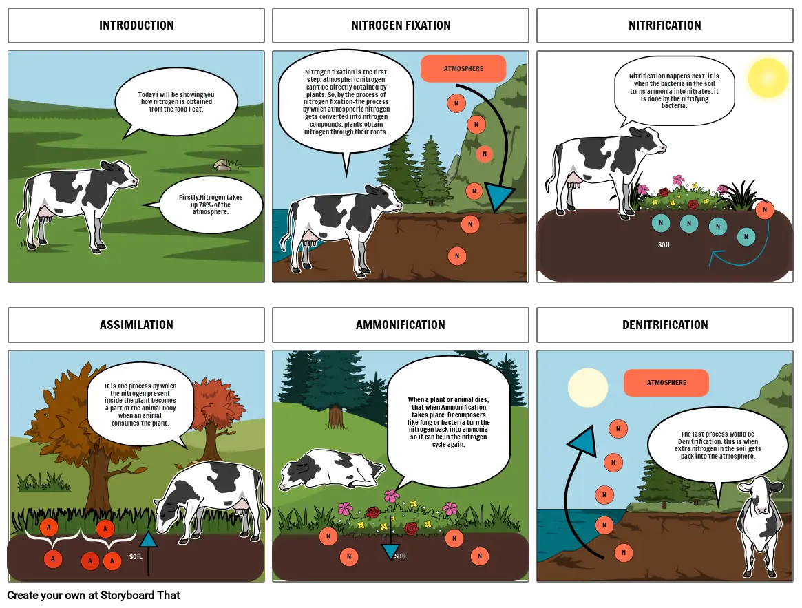 nitrogen cycle