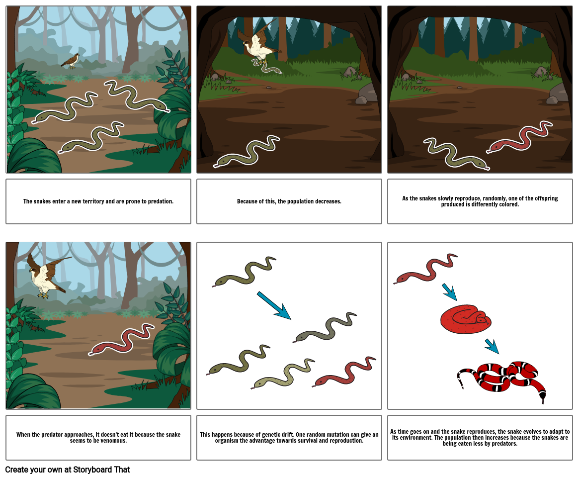 genetic-drift-storyboard-by-s20132296