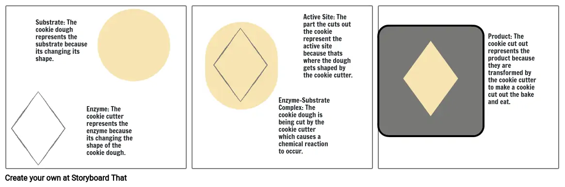 Enzyme Analogy