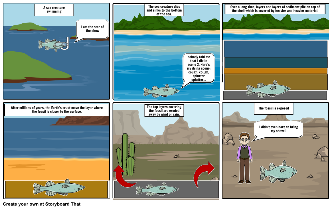 How fossils are formed Storyboard by sarapark