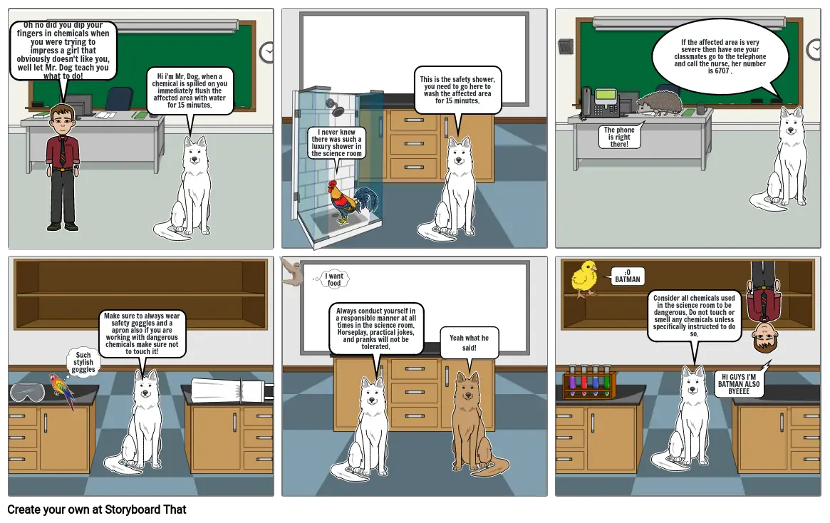 Science Safety Storyboard