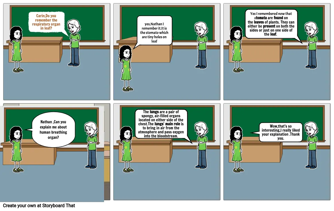 comic strip on topic stomata and human lungs