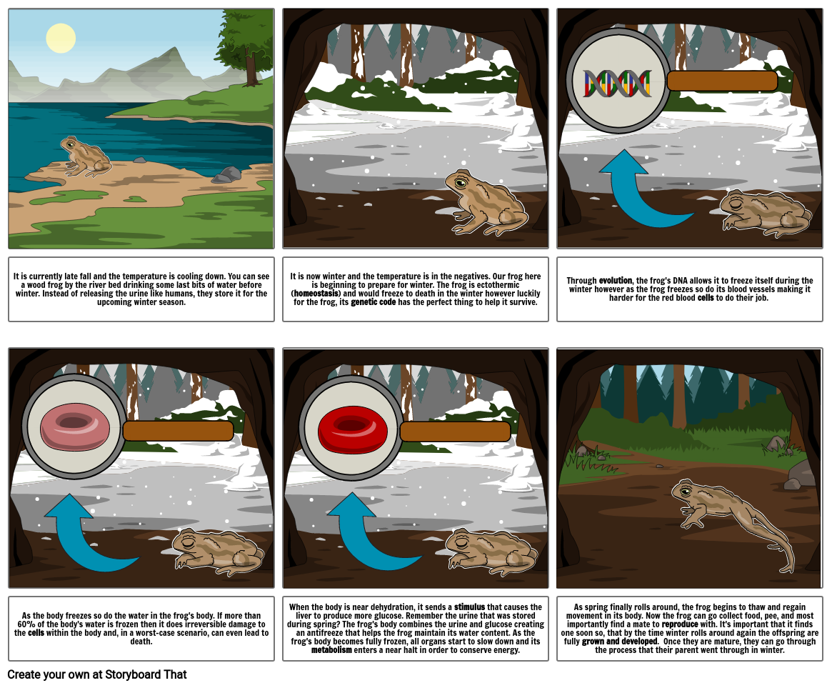 Wood Frogs Storyboard por sbasnet4