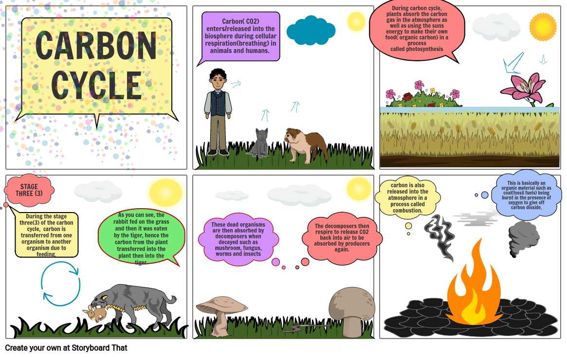 carbon-cycle-storyboard-by-sekud22