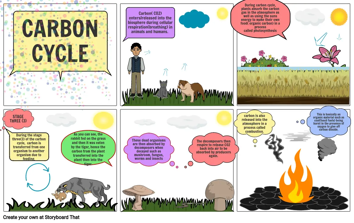 CARBON CYCLE