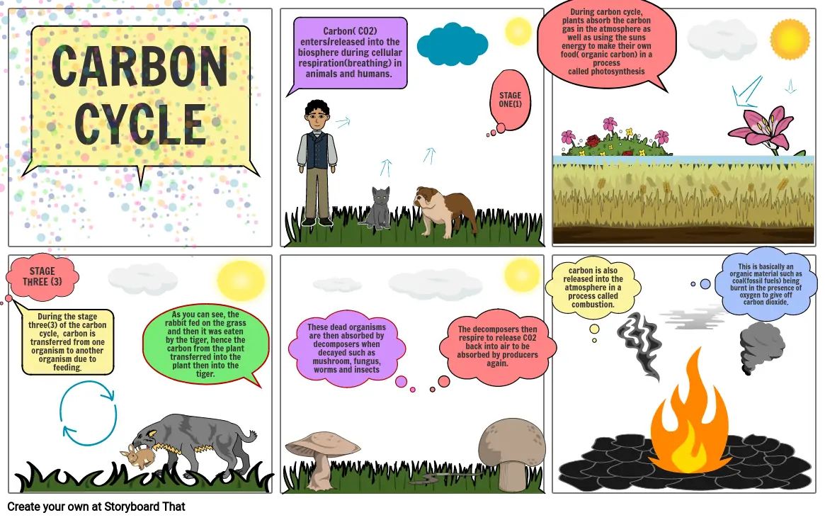 CARBON CYCLE