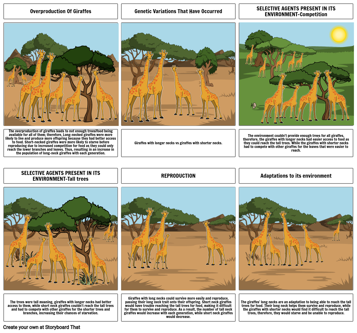 Natural Selection - Giraffes With longer Necks