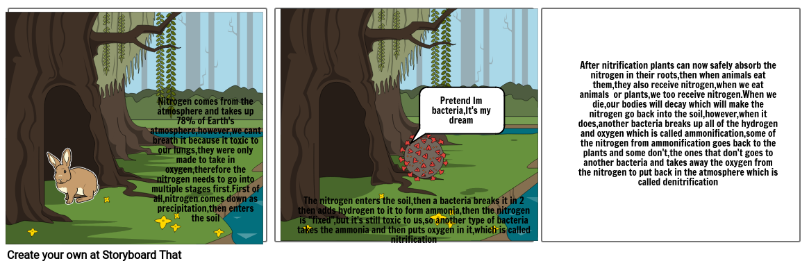 Ecosystem Storyboard By Shawnwinder