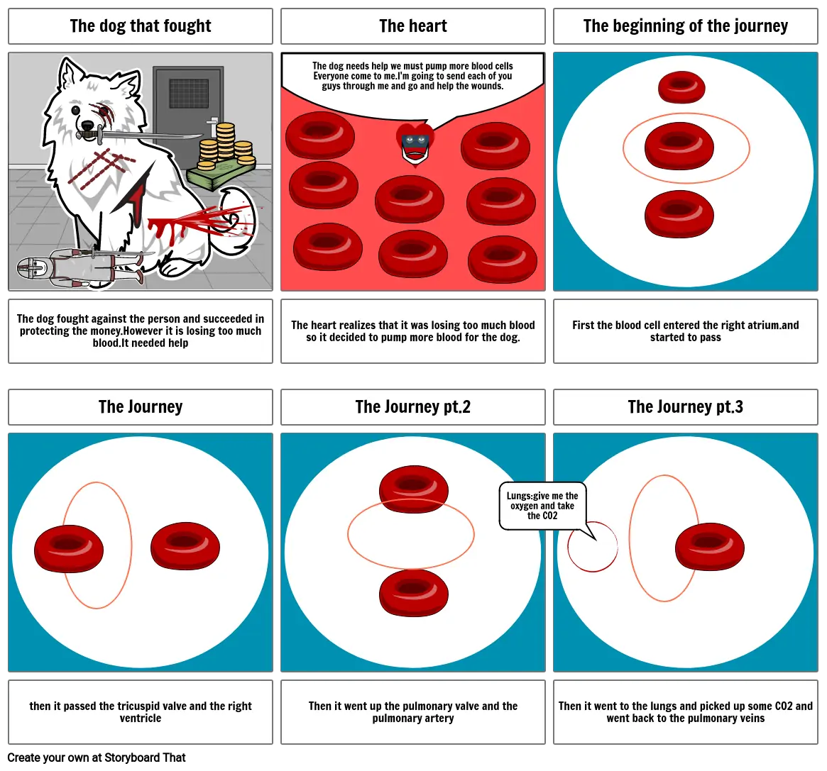 The story of a red blood cell