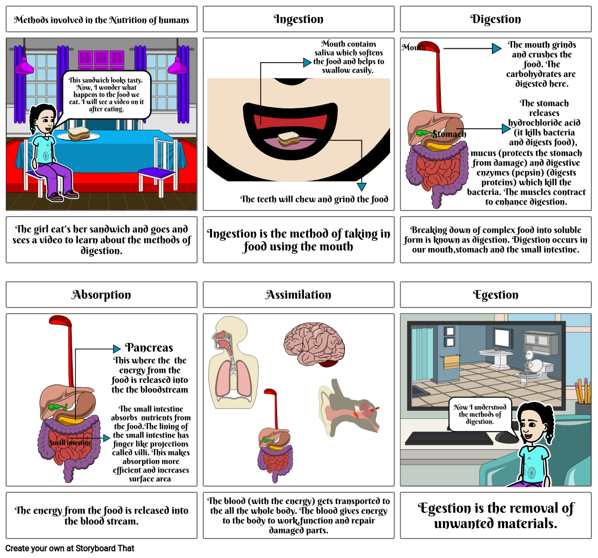 methods-of-digestion-storyboard-by-shreelalitha