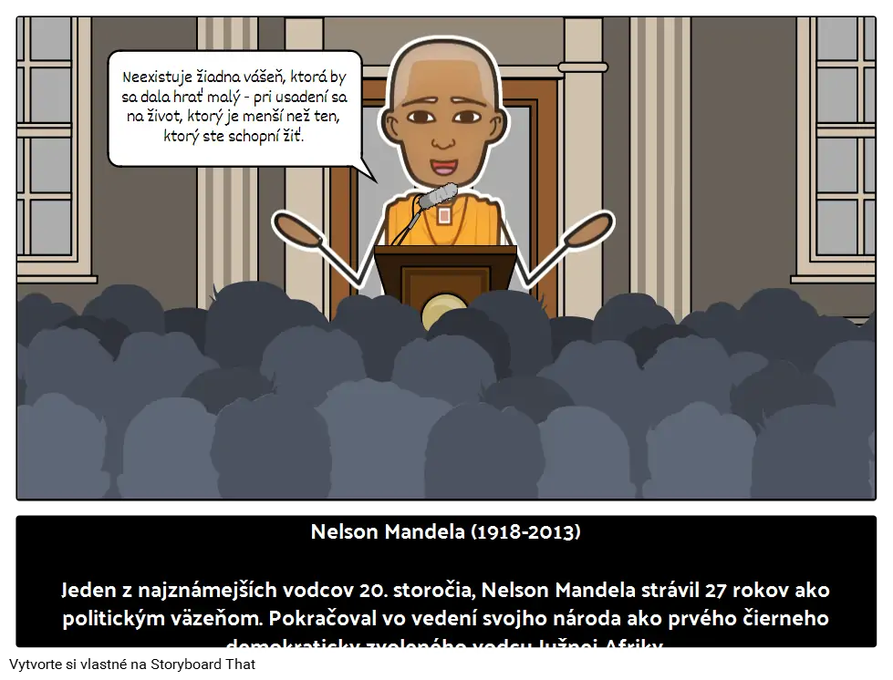 Nelson Mandela Briografie