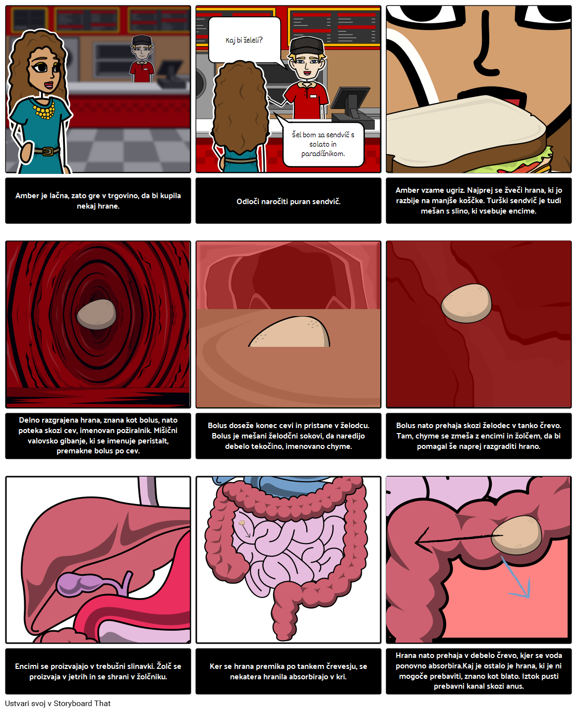 digestion-pripoved-storyboard-per-sl-examples