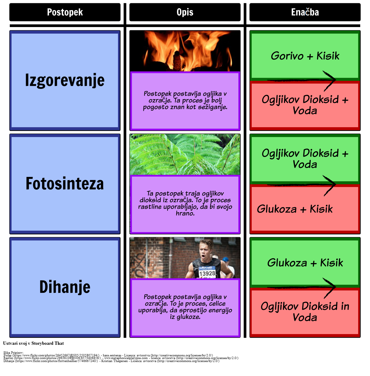 procesi-v-carbon-cycle-sl-examples