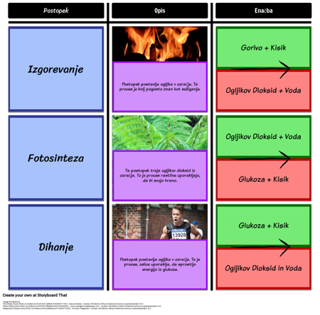 Procesi v Carbon Cycle