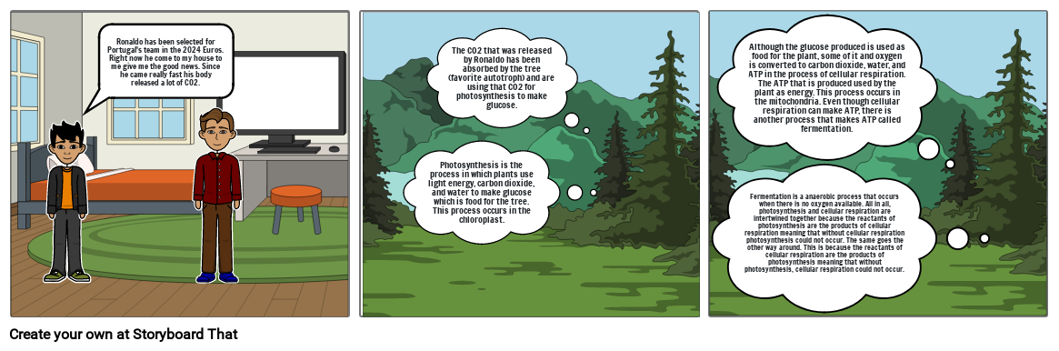 Cell Energy Storyboard