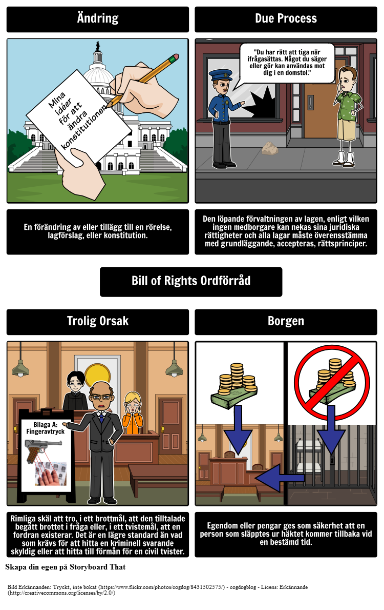 5 Examples Of Bill Of Rights