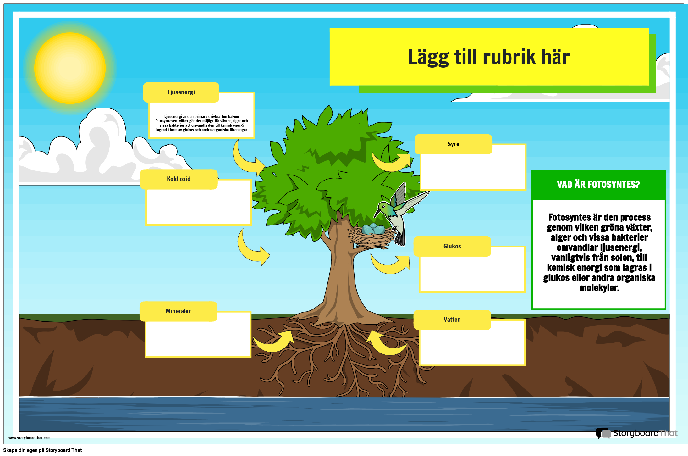 fotosyntesvisningsaffisch-storyboard-by-sv-examples