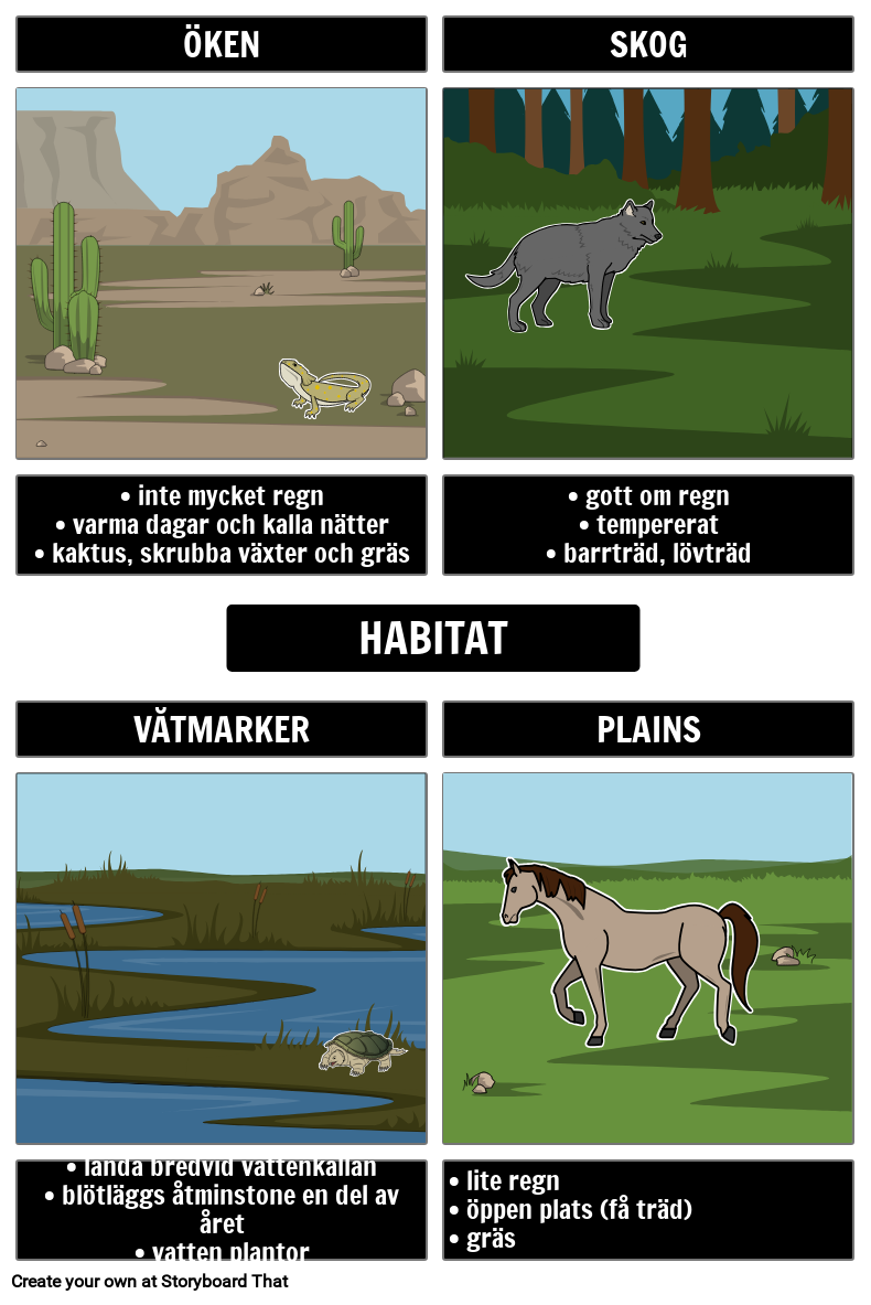 Frayer Model Habitats Storyboard by svexamples