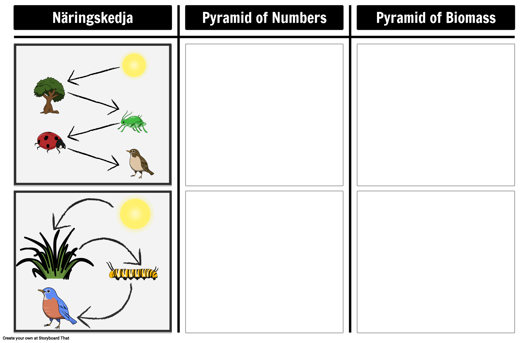 Pyramid of Numbers and Biomass
