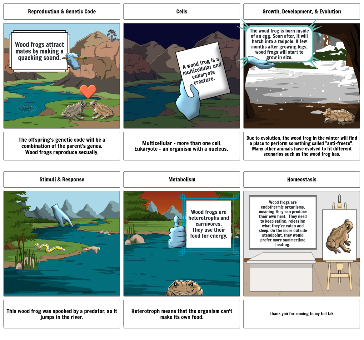 the wood frog Storyboard by svandamme3
