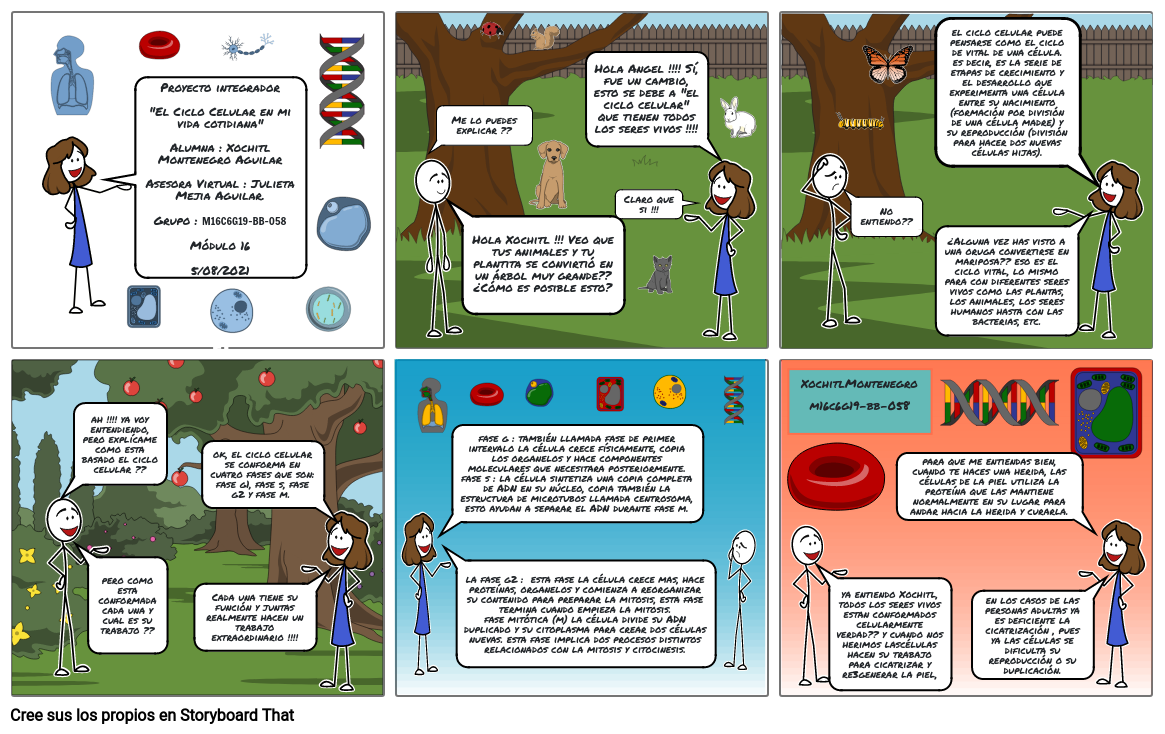 El Ciclo Celular Storyboard By Tatito 2369