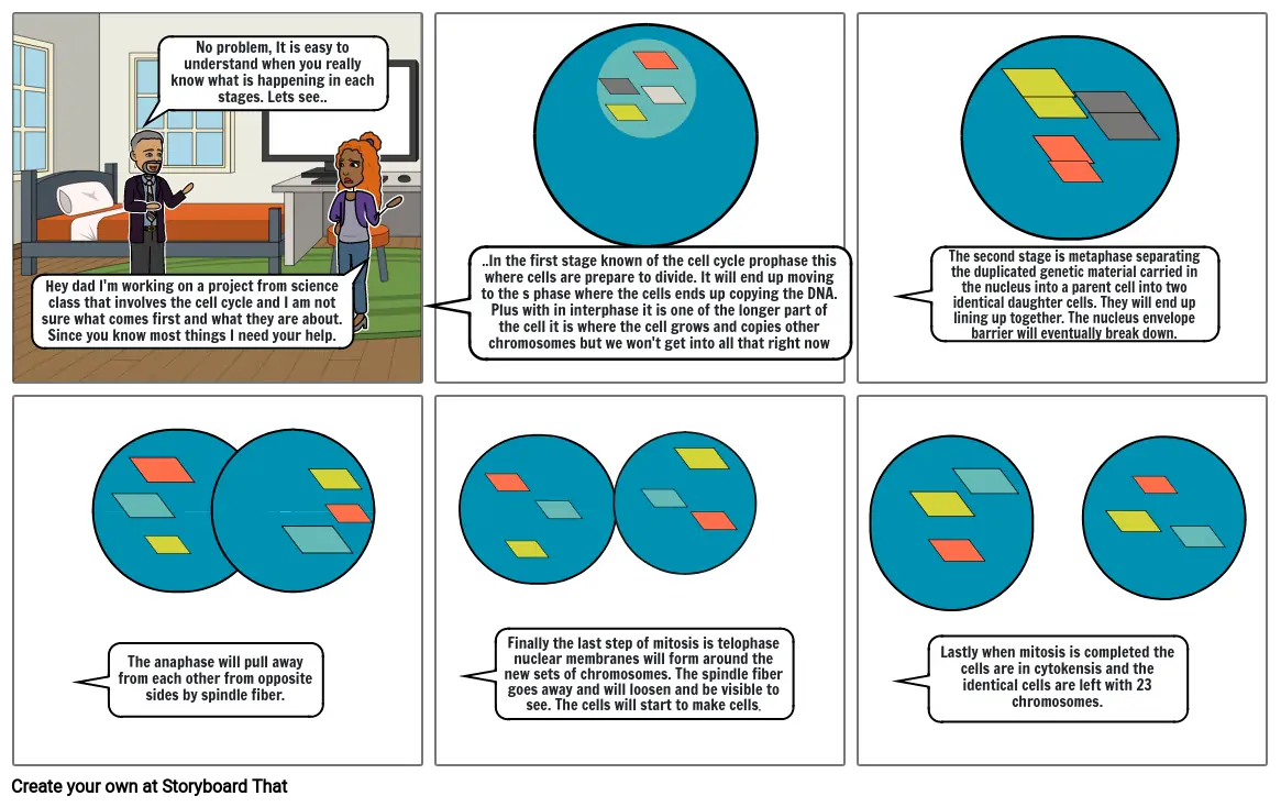 Cycle of mitosis