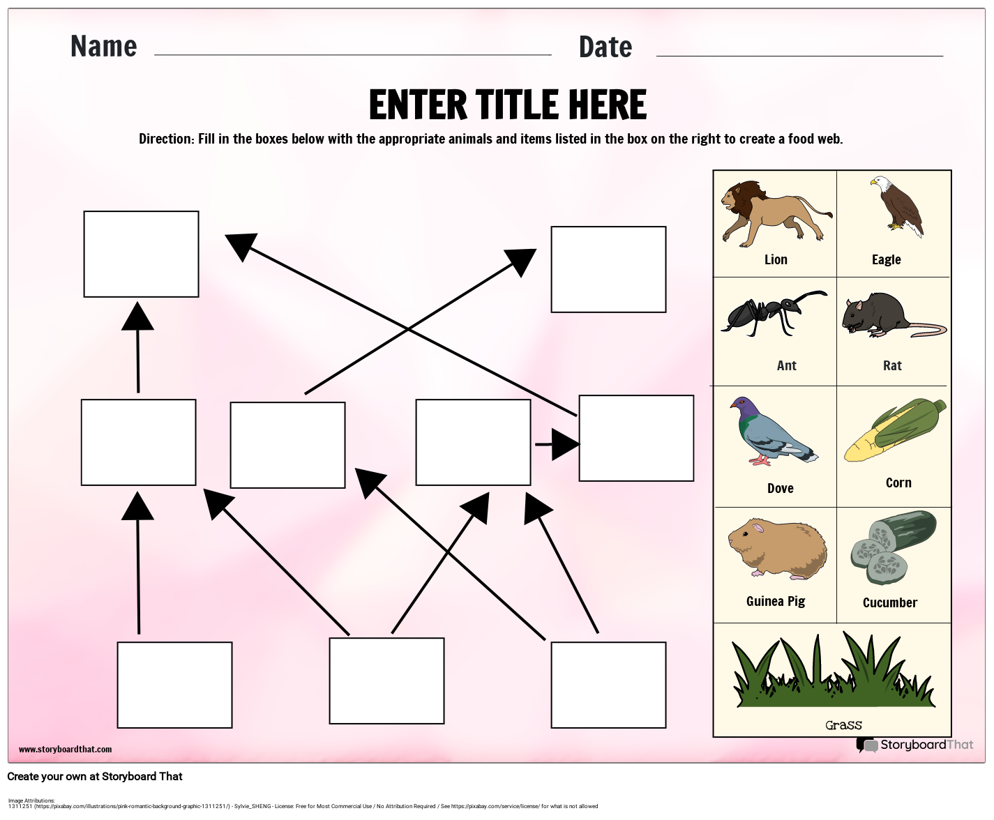 Food Web Process Ecosystem Template Storyboard