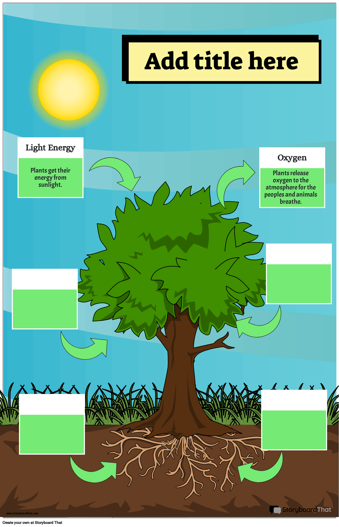 Free Printable Photosynthetic Cycle Graphic Storyboard