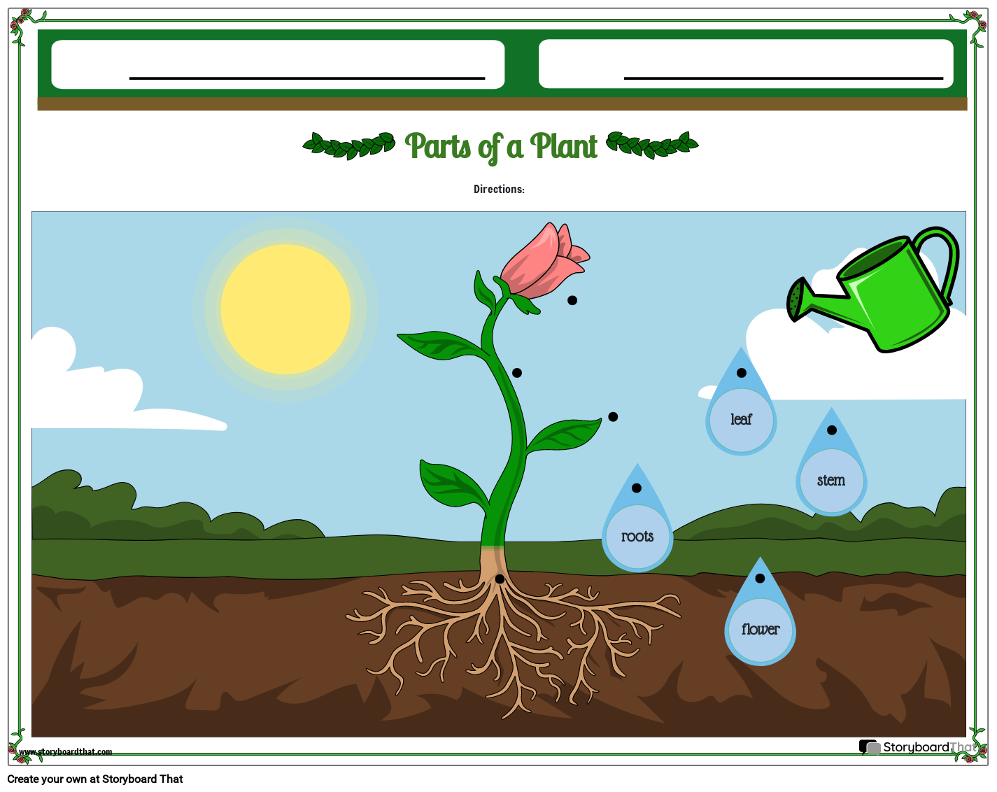 Parts Of A Plant Matching Worksheet Storyboard